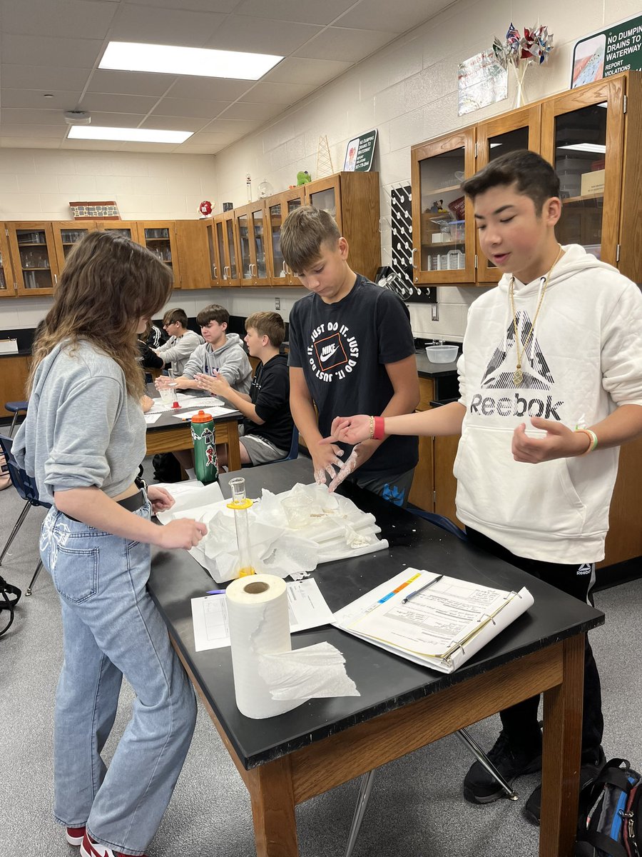 Mrs. Fox tweet media