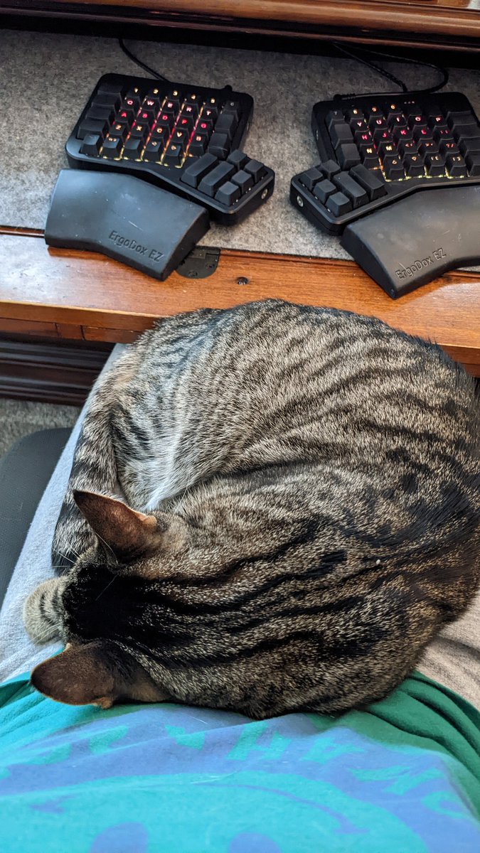 Christine 🎤 #yow22 🐘 @christine@ruby.social tweet media