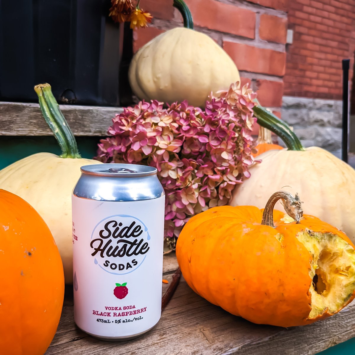 sidehustlesodas's tweet photo. From the Side Hustle Sodas family, we hope you all enjoy the long weekend!

Our cans are available for takeaway from @BTPBrewing, open all weekend long. Go say hi!

#pumpkins #thanksgivingcanada #soda #vodka #ottawa #supportlocal #btpbrewing #longweekend #sidehustle https://t.co/8u4Ywjpear