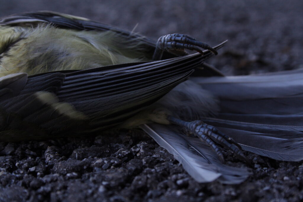 U zagrebačkom Pogonu Jedinstvo otvara se izložba kojom se nastavlja cjelogodišnji slavljenički program kustoskog kolektiva <a href="/kontejnerorg/">kontejner</a>  povodom 20 godina rada na nezavisnoj kulturnoj sceni u području istraživačke i intermedijske suvremene umjetnosti. >>> bit.ly/3e94u7O