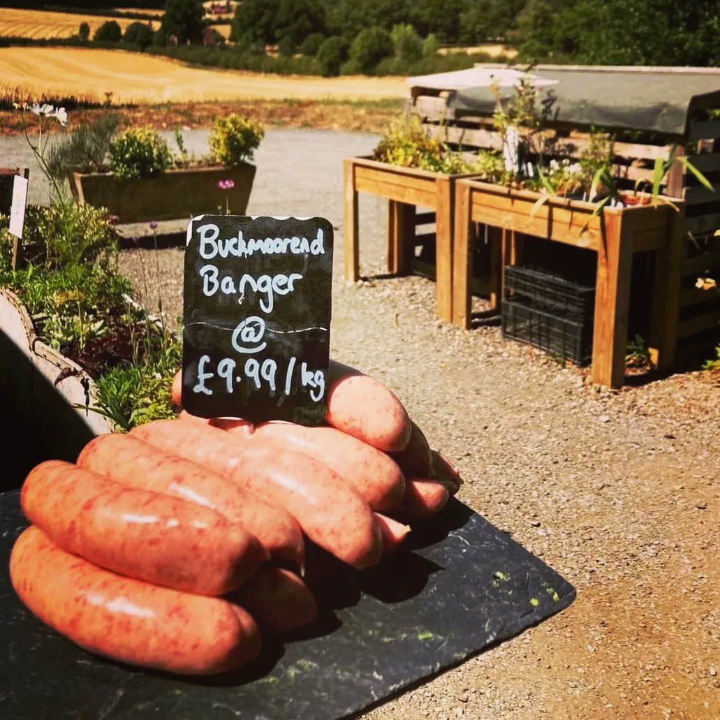 BuckmoorendFarm's tweet photo. Sausage of the week - the ever popular Buckmoorend Banger! A delicious combo of our home reared pork, beef, apple & horseradish...a flavour explosion! Delicious as Toad in the Hole 😋 #homegrown #homereared #supportlocal #farmshop #chilterns #autumnvibes https://t.co/8IGlsXPRpv