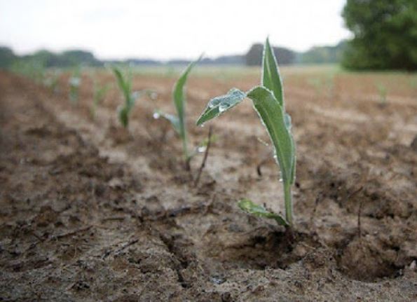 RiverStewards tweet media