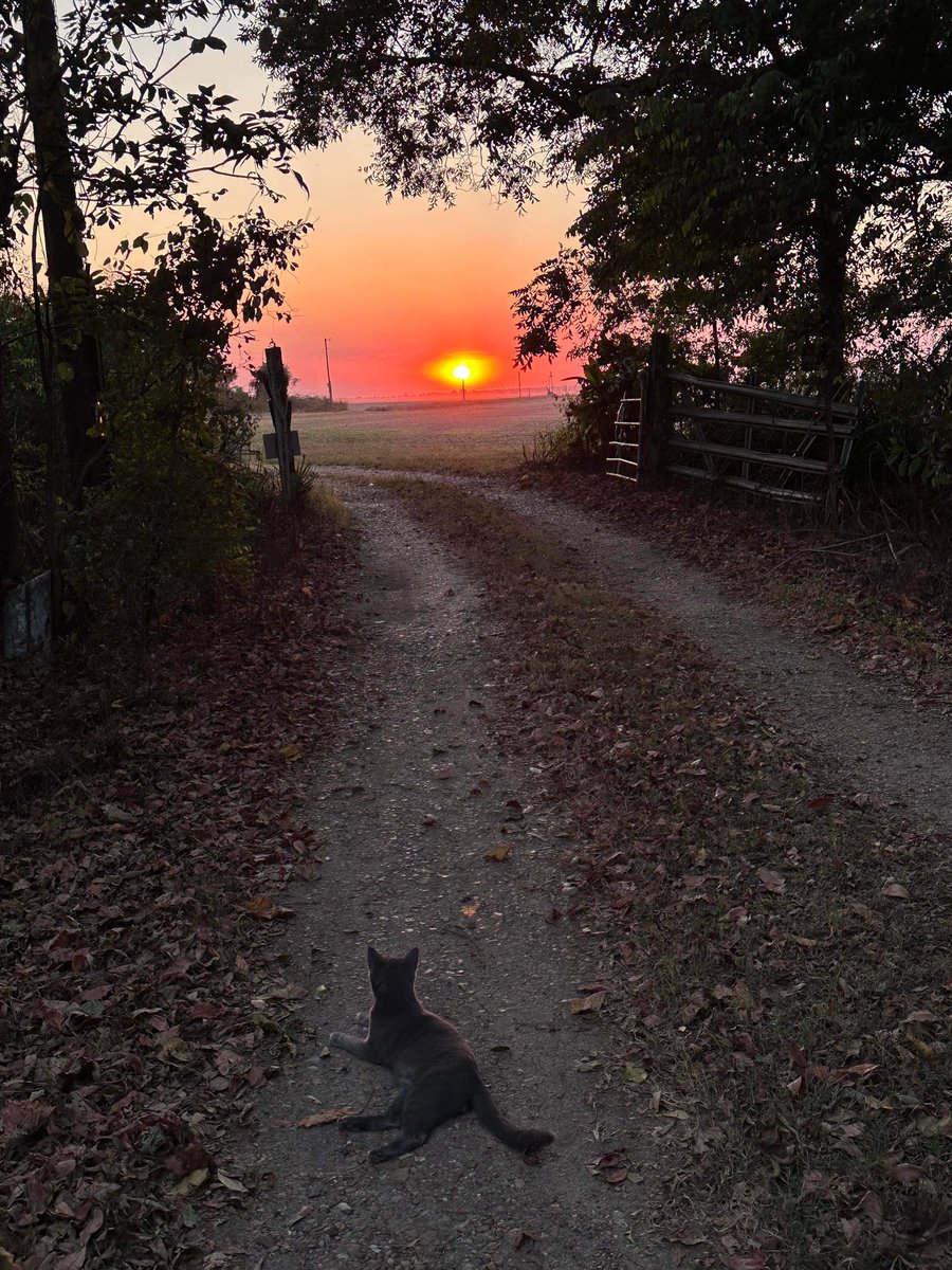 AshleyReneeWx's tweet image. Absolutely stunning sunset over #MerigoldMS last night 😮😍! #viewerphoto #mswx #mississippidelta #BolivarCounty @NWSJacksonMS @NWSMemphis