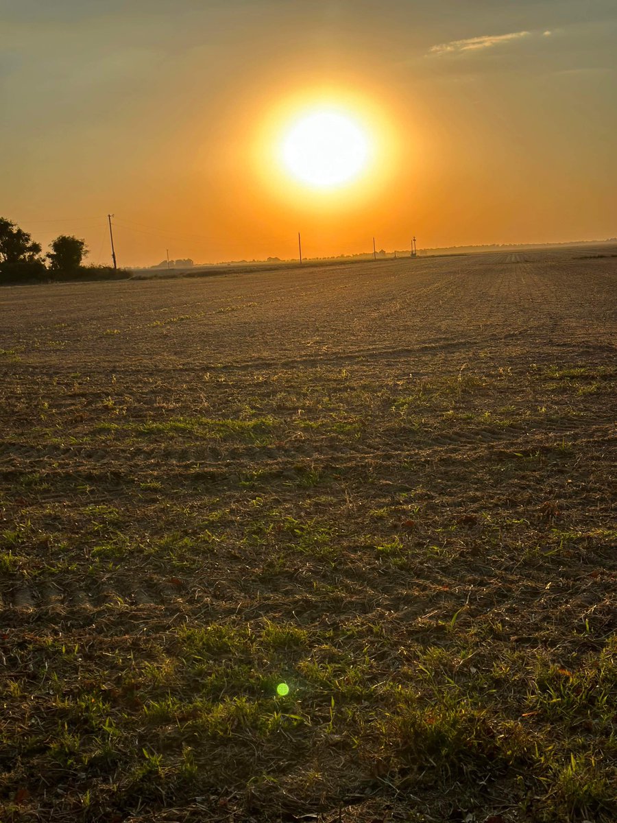 AshleyReneeWx's tweet image. Absolutely stunning sunset over #MerigoldMS last night 😮😍! #viewerphoto #mswx #mississippidelta #BolivarCounty @NWSJacksonMS @NWSMemphis