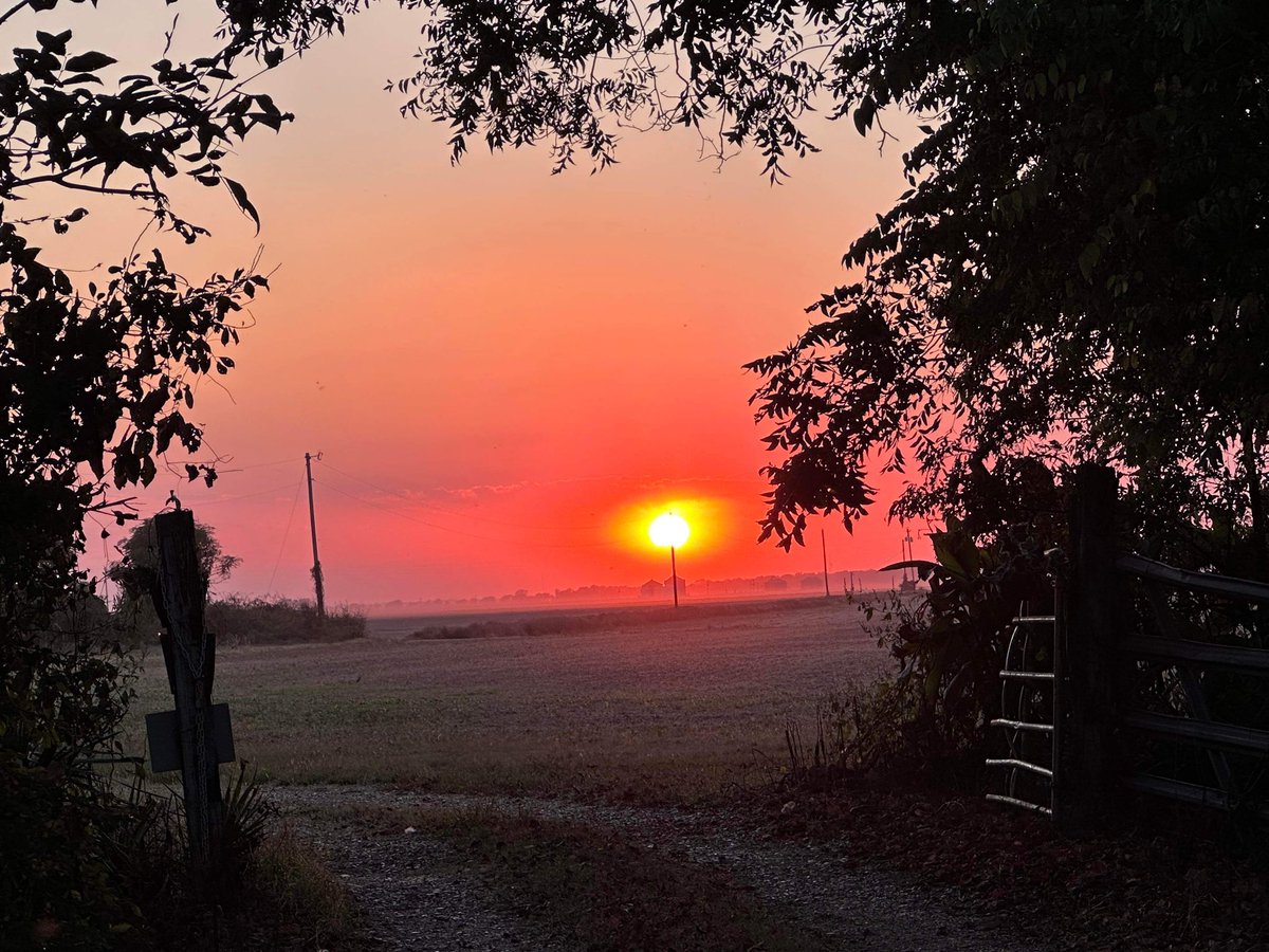 AshleyReneeWx's tweet image. Absolutely stunning sunset over #MerigoldMS last night 😮😍! #viewerphoto #mswx #mississippidelta #BolivarCounty @NWSJacksonMS @NWSMemphis
