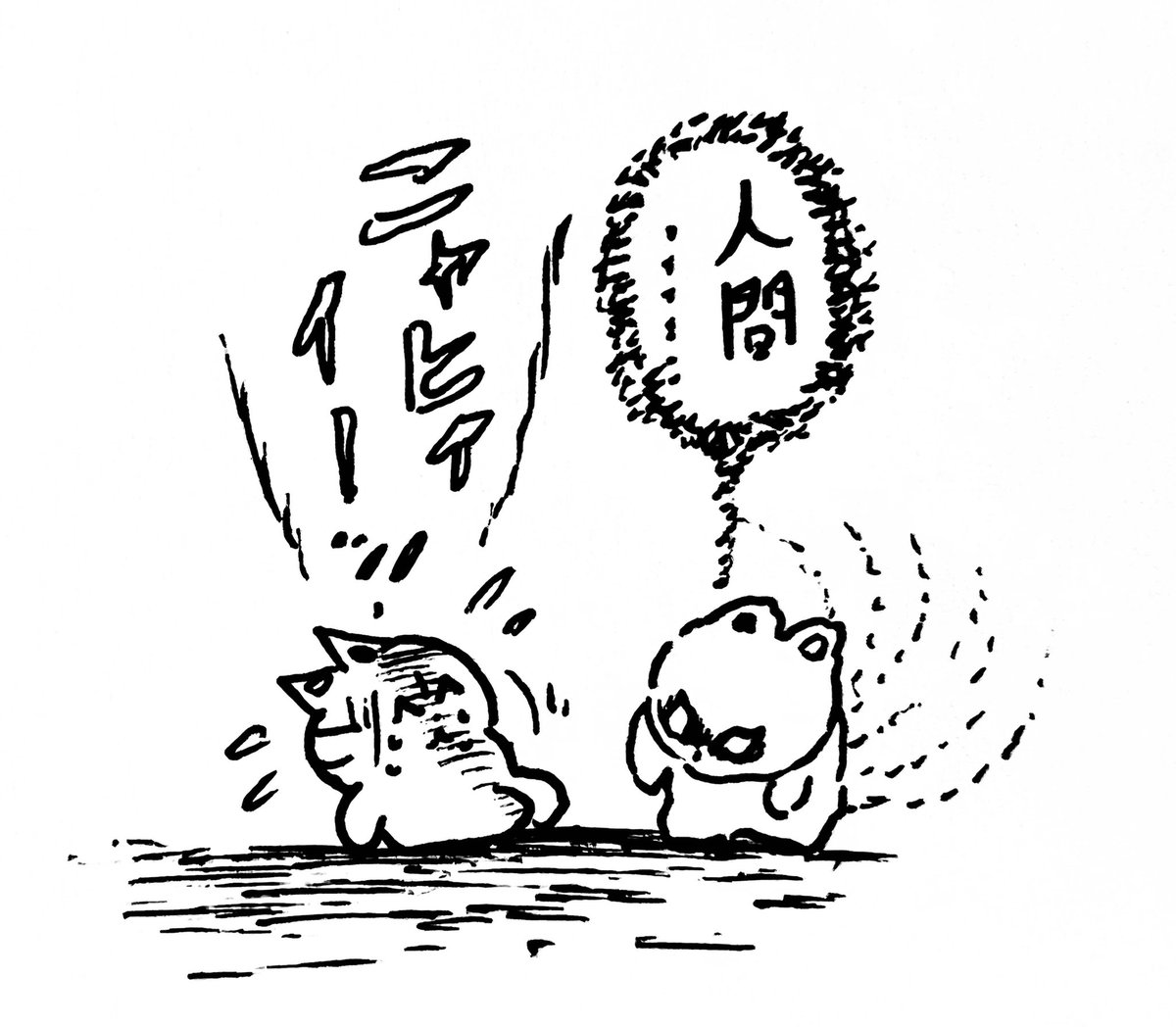 ニャヒィーッ! の巻 