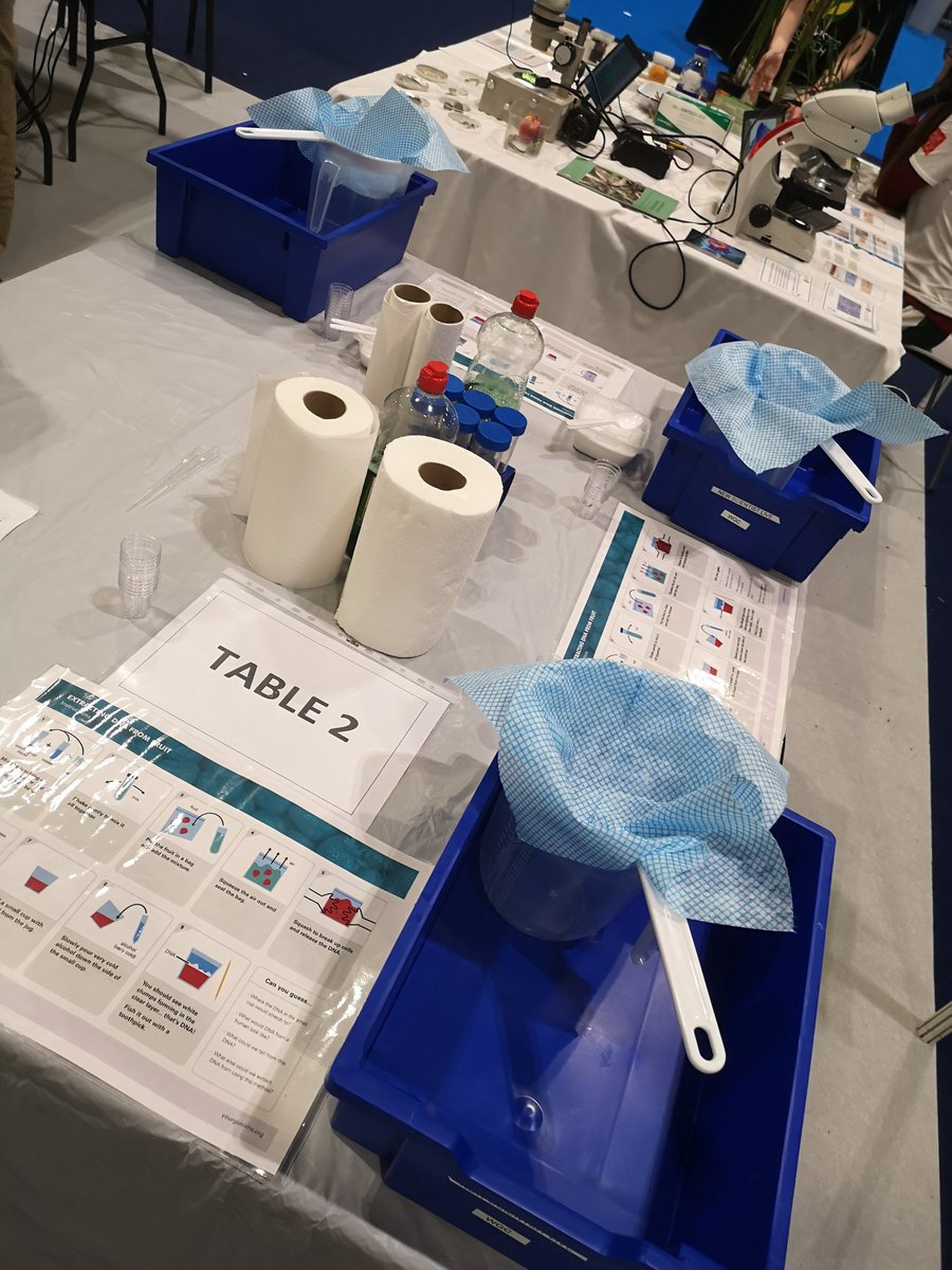 What a 1st day! Such amazing students extracting some strawberry DNA and winning prizes 🍓🍓🍓 <a href="/engageWCS/">Wellcome Connecting Science Engagement and Society</a> <a href="/Rothamsted/">Rothamsted Research</a> <a href="/BS_PP/">British Society for Plant Pathology</a> #pathologyNSL