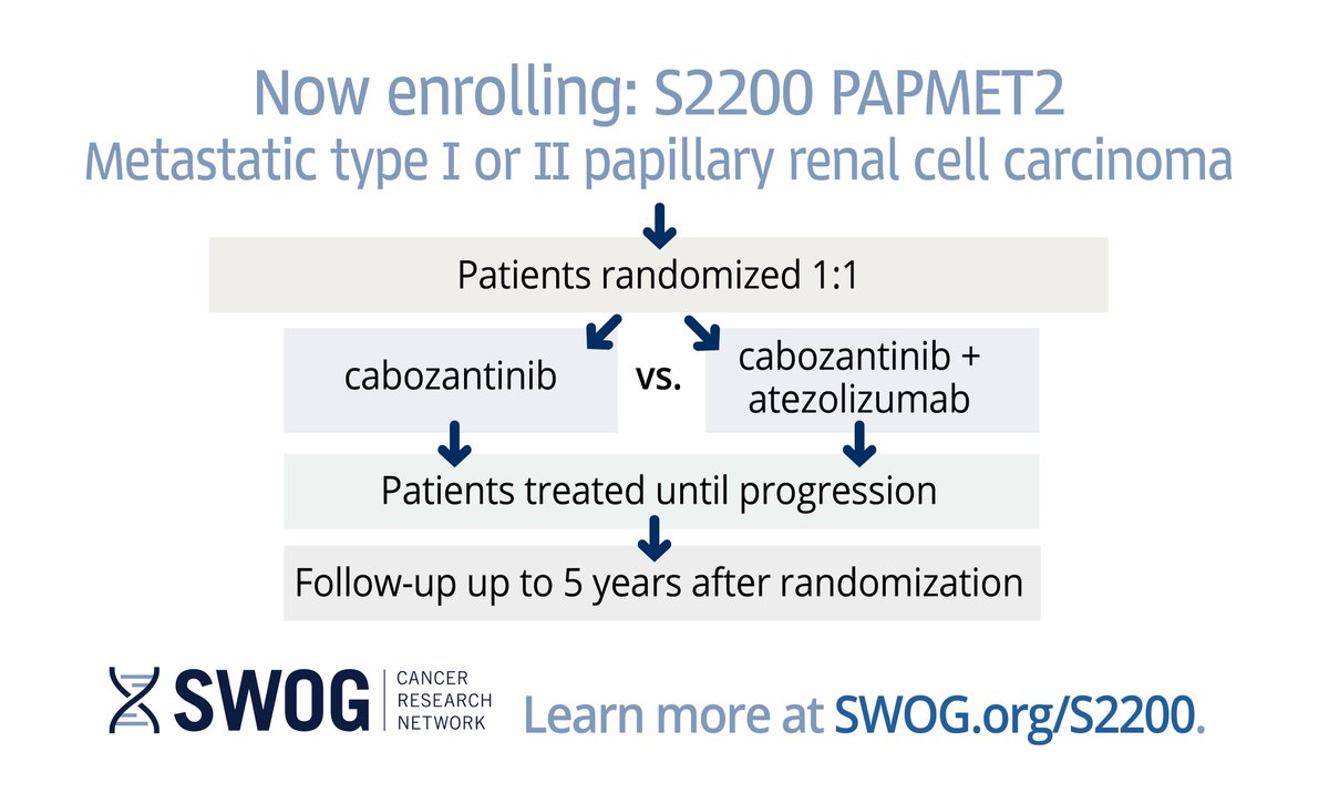 SWOG's tweet photo. .@SWOG S2200 now enrolling: phase II randomized trial of cabozantinib with or without atezolizumab in patients with advanced papillary #renalcellcarcinoma (#PAPMET2). https://t.co/yuK0A3xNg8 @kcCURE @KidneyCancer @IKCCtrials @ACKCancer #kcsm #kidneycancer @OncoAlert #PAPMET https://t.co/CuZtFgTeUs