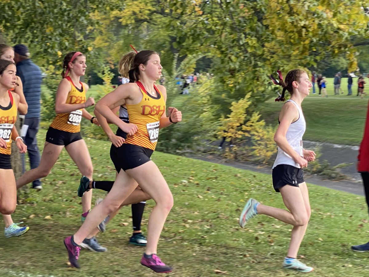 DSHA Athletics tweet media