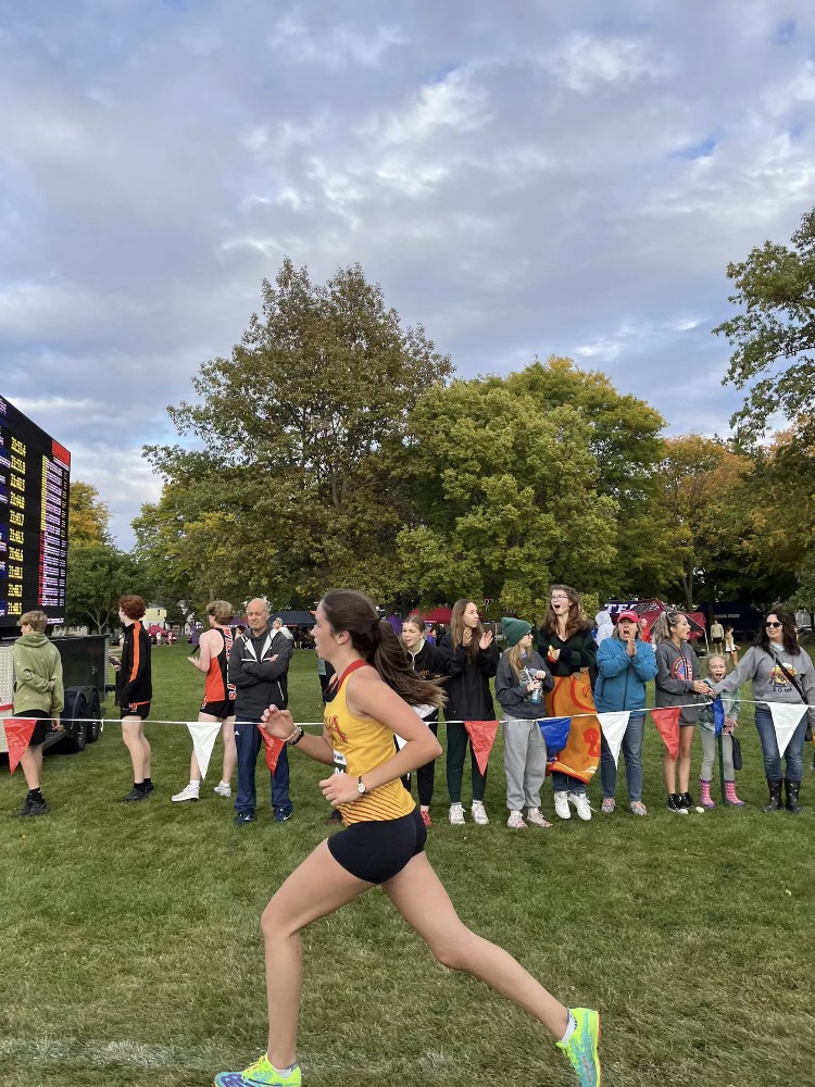 DSHA Athletics tweet media