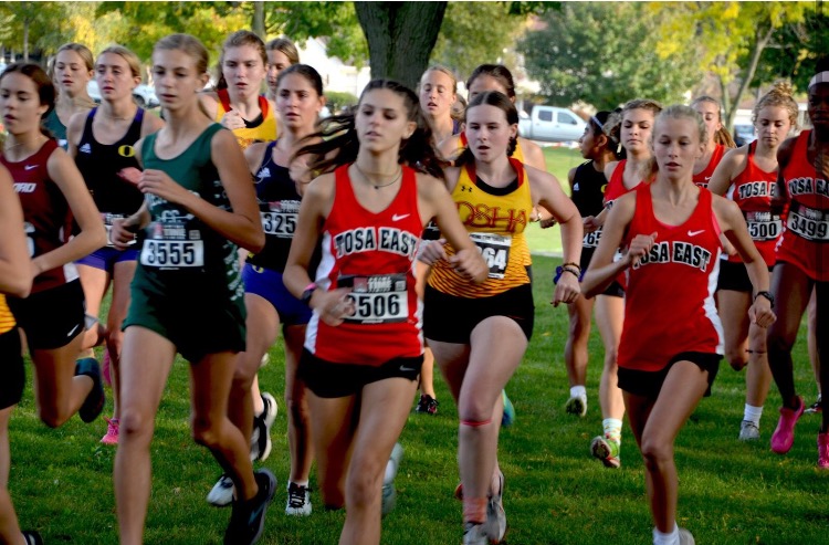 DSHA Athletics tweet media
