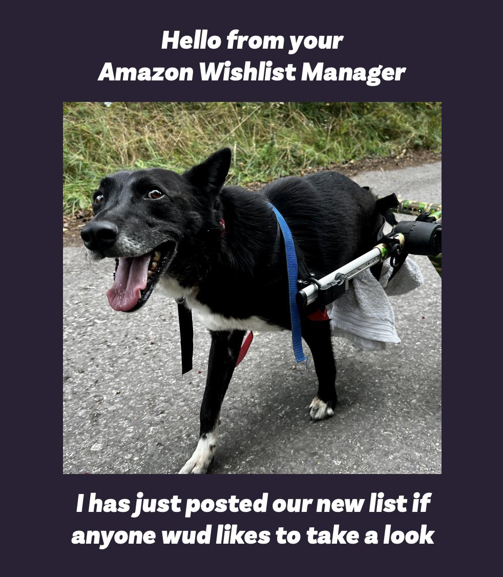 Dogs 4 Rescue On Twitter Lollipop s New Amazon Wishlist Is Up If dogs-4-rescue-on-twitter-lollipop-s-new-amazon-wishlist-is-up-if