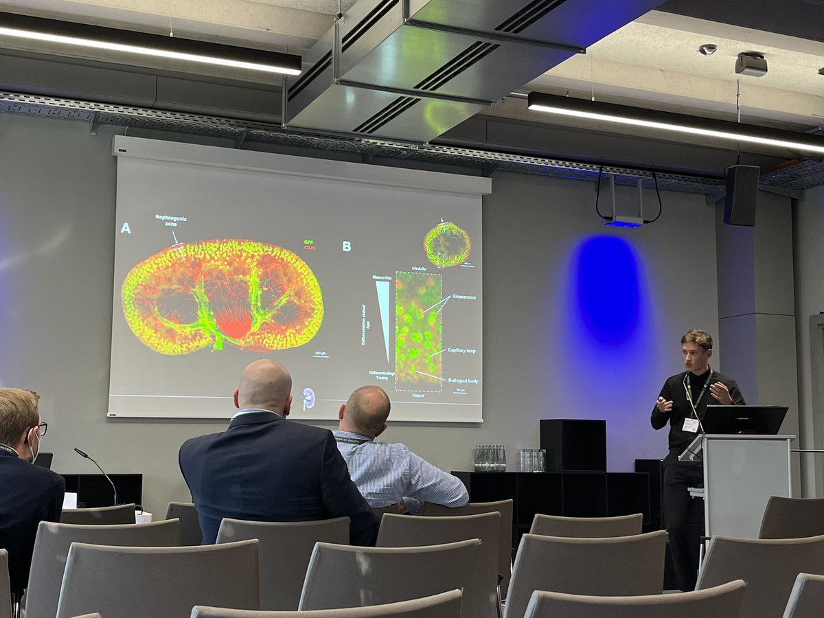 Siegerist's tweet image. PhD student @Math_preu presenting impressing whole-kidney imaging of cleared and immunostained kidneys with resolution high enough to analyze glomerular morphometry from the intact organ.  #nephrologie2022