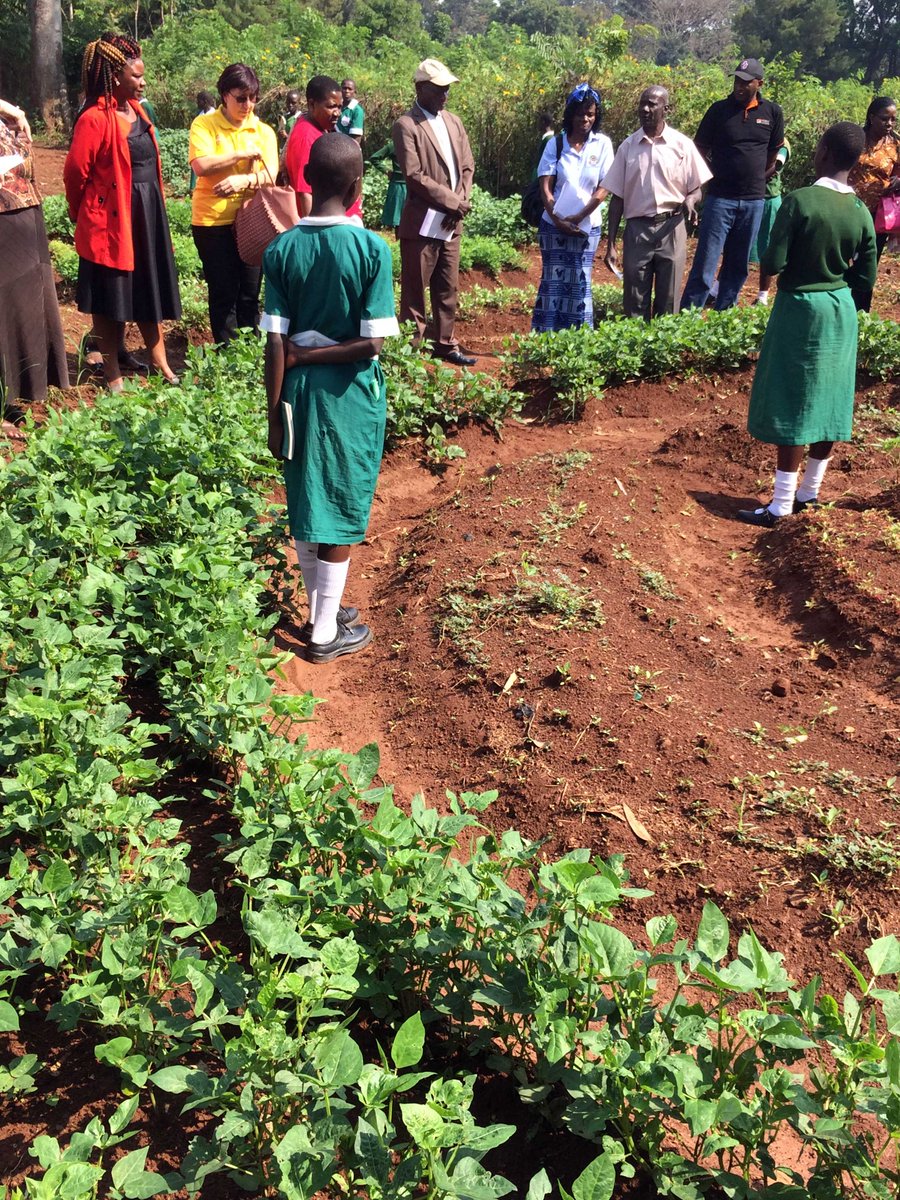 BiovIntCIAT_eng's tweet photo. Hear directly from our #youth to discover how local agrobiodiversity can improve school meals🎒🏫 &amp; secure balanced healthy diets🍊  #talkschoolmeals 

📅12 October  
🕓 12:15 CEST
Join virtually👉https://t.co/EUoMumiNNA  
🤝@CGIAR @kalromkulima @IIRR @DepEd_PH  📷 c/@B4FNTeam https://t.co/WJujc4BTCa
