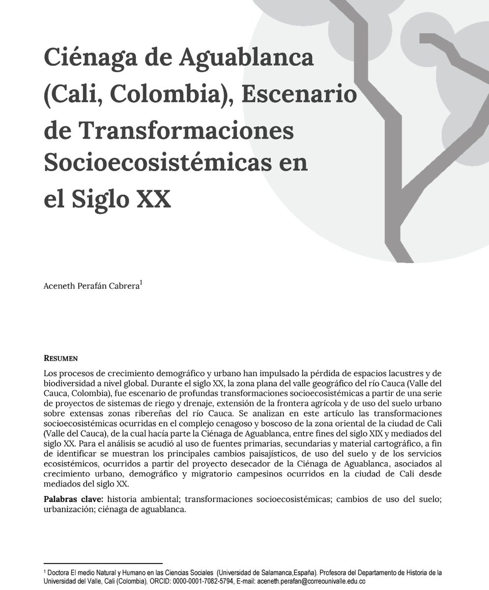Navarro y el oriente, las decisiones históricas más radicales de Cali: 

1. Desvío de ríos Cañaveralejo, Meléndez y Lili 1956-1961
2. Construcción del sistema de drenajes y desecación del sistema de lagunas y ciénagas 1956-1961
3. Vertedero de Navarro 1979-2008. Posclausura 2028.