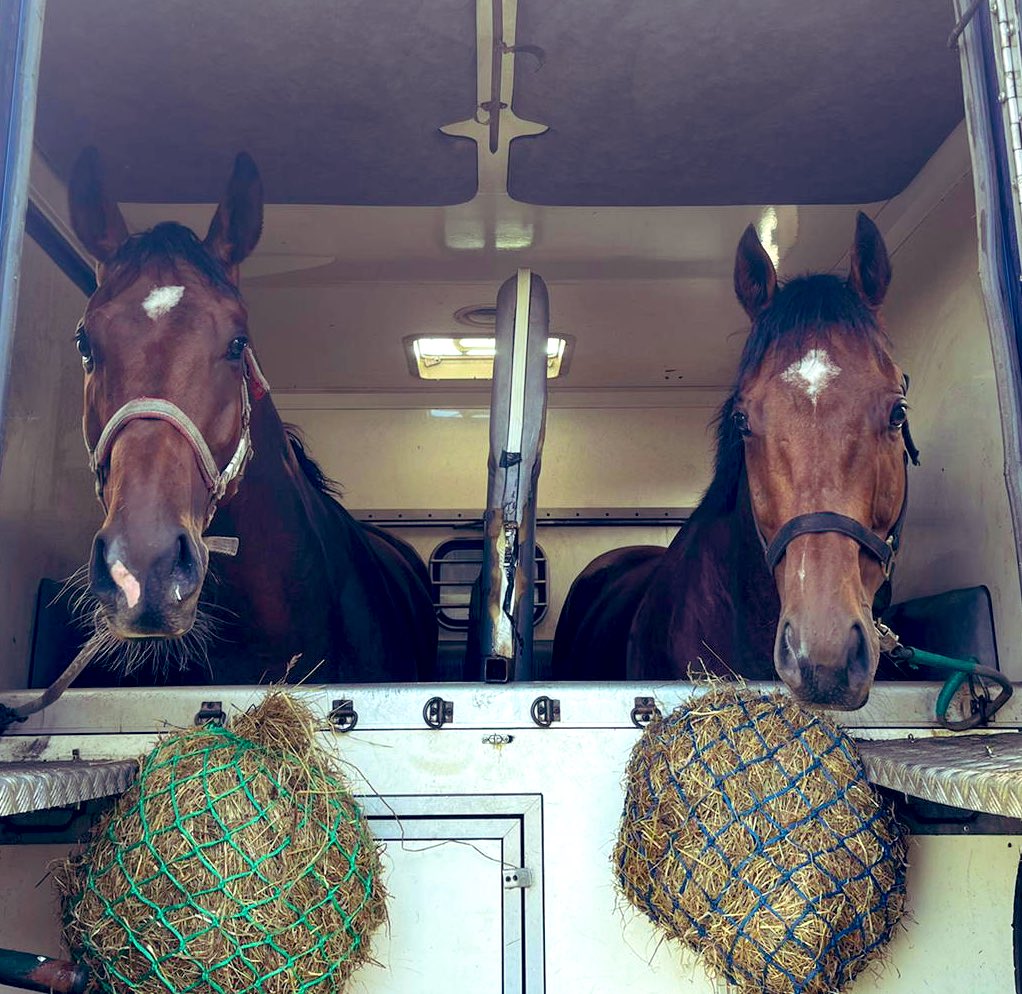 Geremia & Sir Chauvelin both owned by @jimmyfyffe are on they’re way to @yorkracecourse where they run tomorrow, @PMulrennan rides!