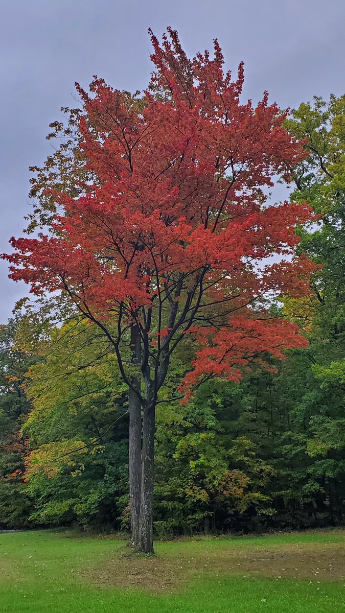 Mark Poloncarz tweet media