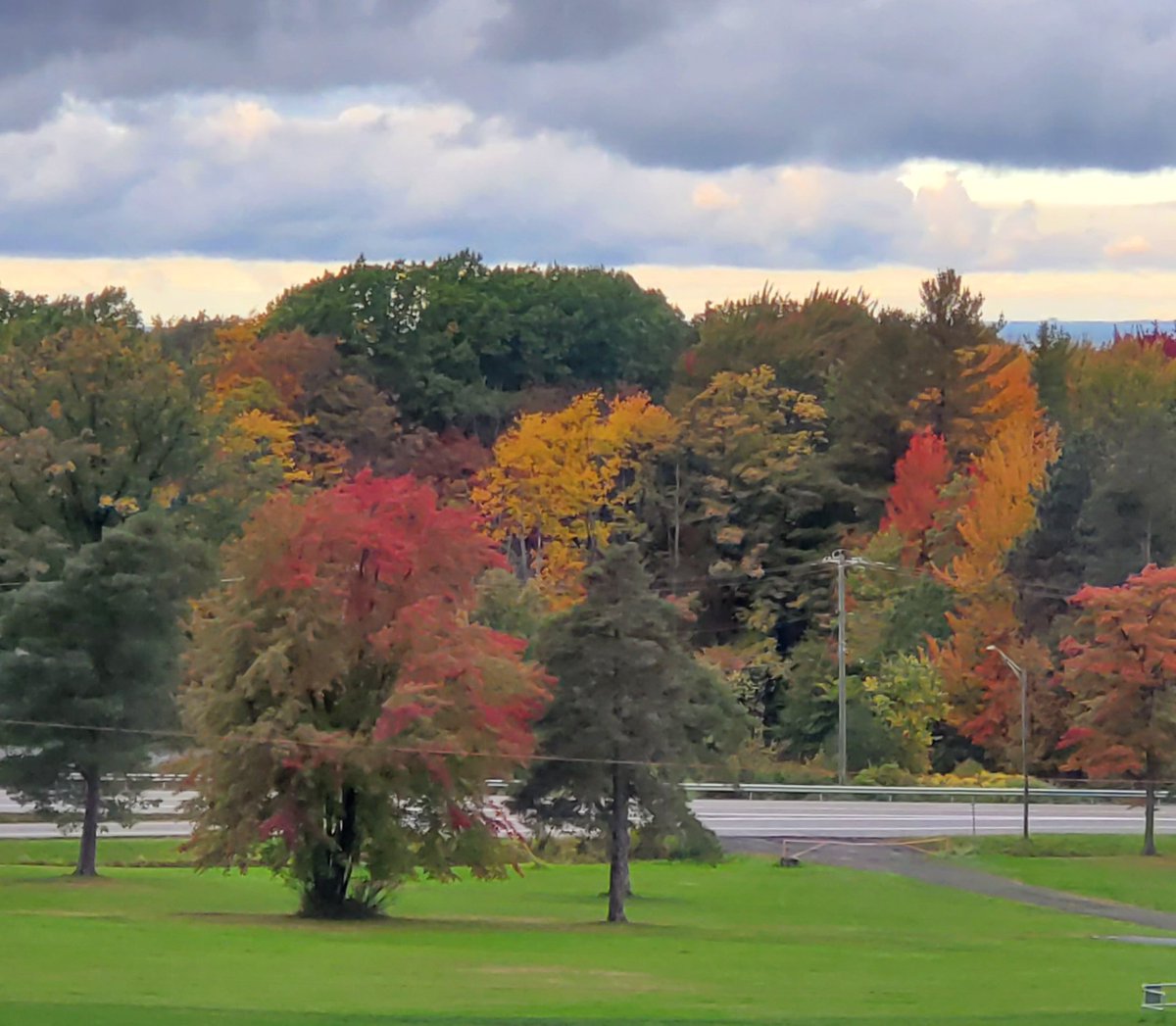 Mark Poloncarz tweet media