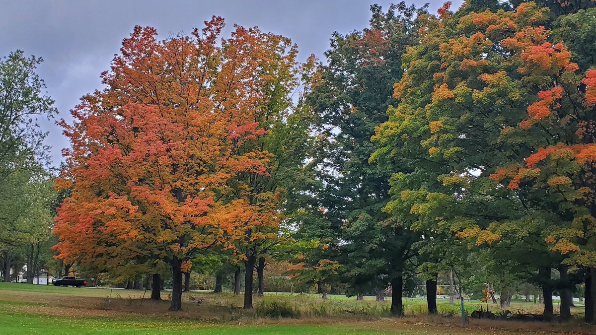 Mark Poloncarz tweet media
