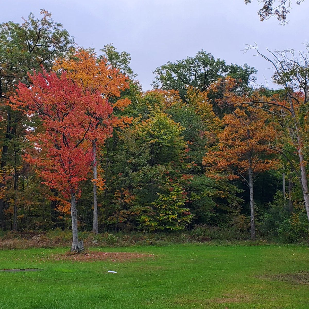 Mark Poloncarz tweet media