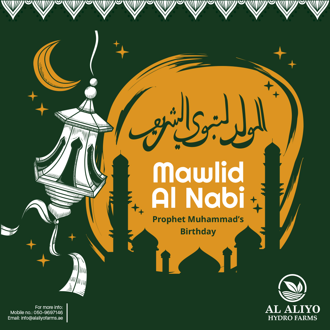 alaliyofarms's tweet photo. Wishing everyone a blessed Milad-un-Nabi
#prophetbirthday #miladunnabi #indoorfarming #hydroponicsystem #indoorgrowing #urbanagriculture #adafsa #uae #moccaeuae #sustainability #freshfodder #abudhabi #barleyfodder #womeninbusiness #healthyfeed #makeitintheemirates https://t.co/JrqQH6gmn0
