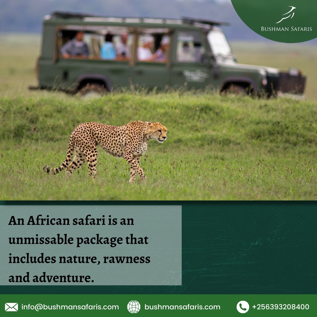 Experience the African safari and learn about new cultures. Visit zcu.io/uIkX

#BushmanSafaris#wildlifesafariafricansafari#africansafariconnection#visitugandatomorrow #visituganda