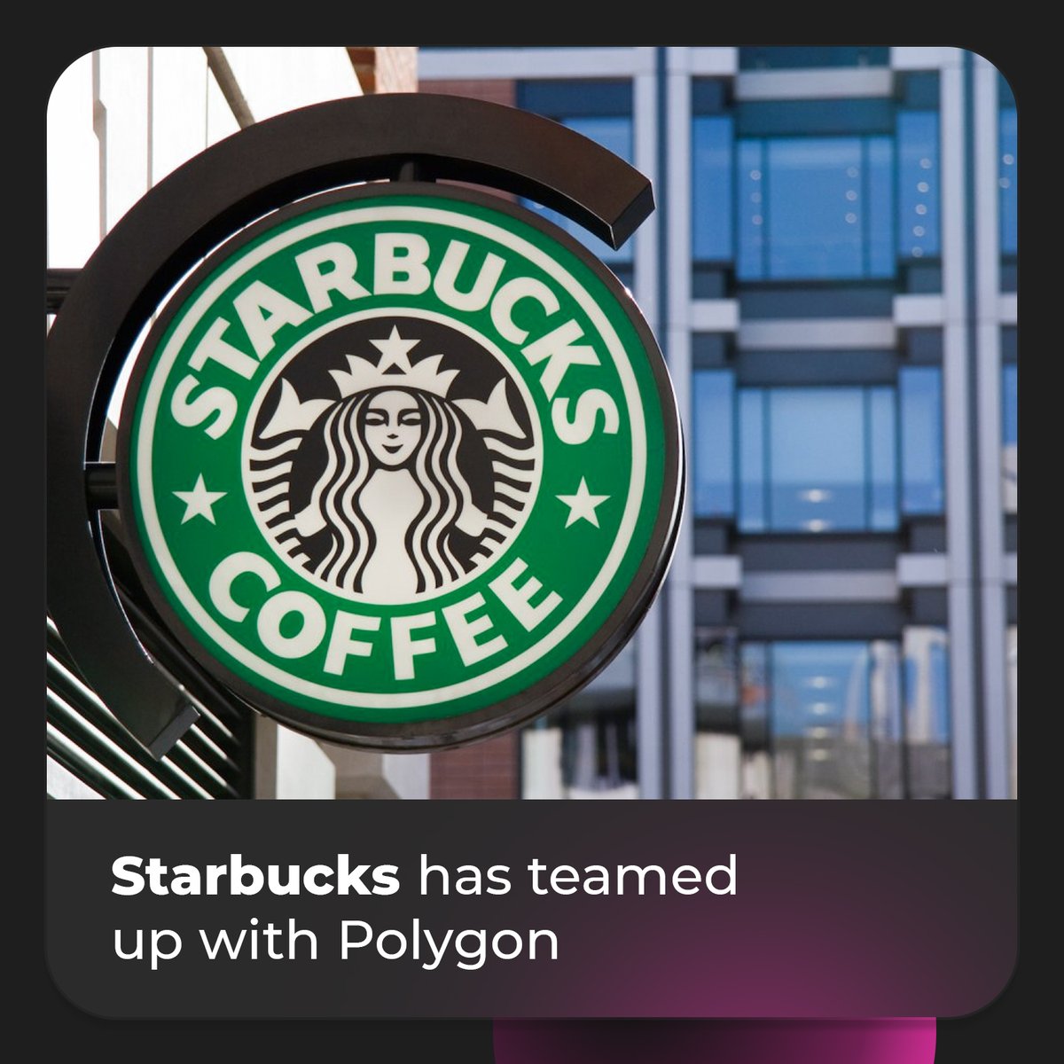 nifts_official's tweet photo. ▪ Starbucks has teamed up with Polygon for a Web3 initiative. This one will allow members of the program to 
earn and purchase digital collectible tokens (NFTs). https://t.co/PVuXyVmQX0
