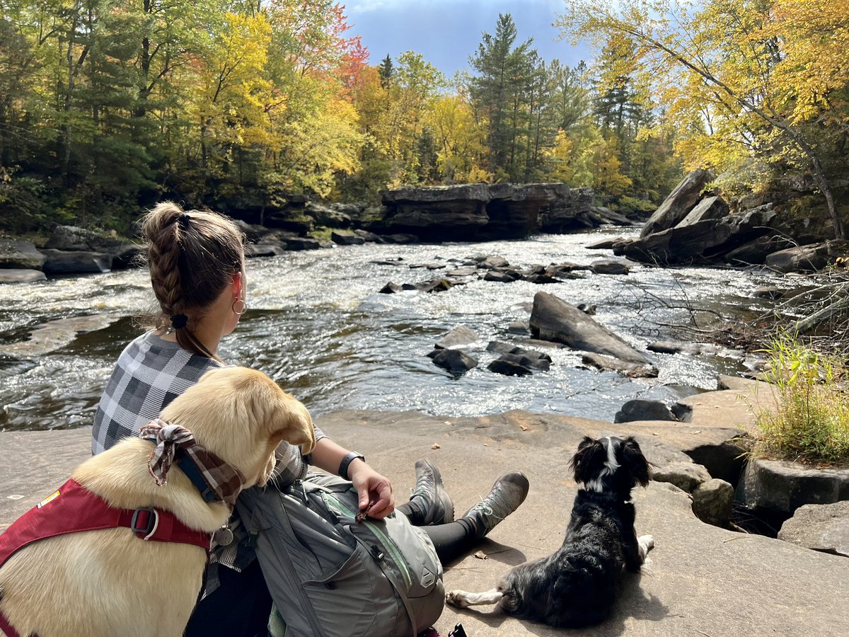 SeaTurtleDoble's tweet photo. Love this life ๐๐พ
#womenwhohike #hikingwithdogs #fallinMN https://t.co/YErFt1N1KF