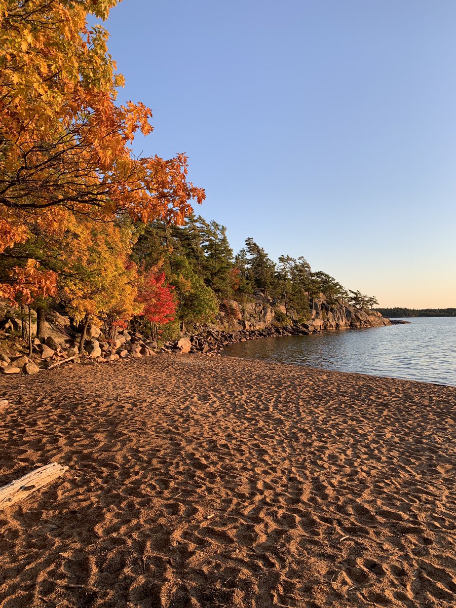 Andrea Gillespie tweet media