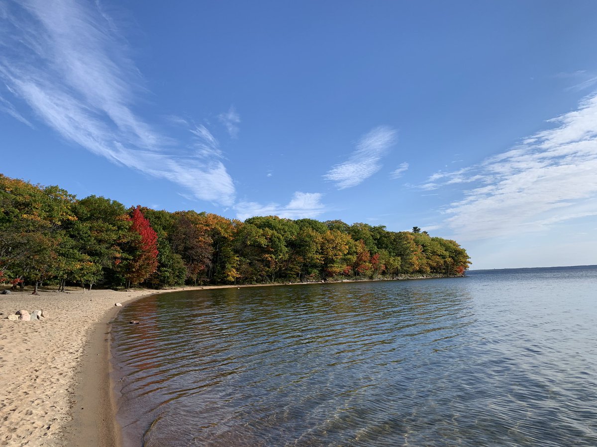 Andrea Gillespie tweet media