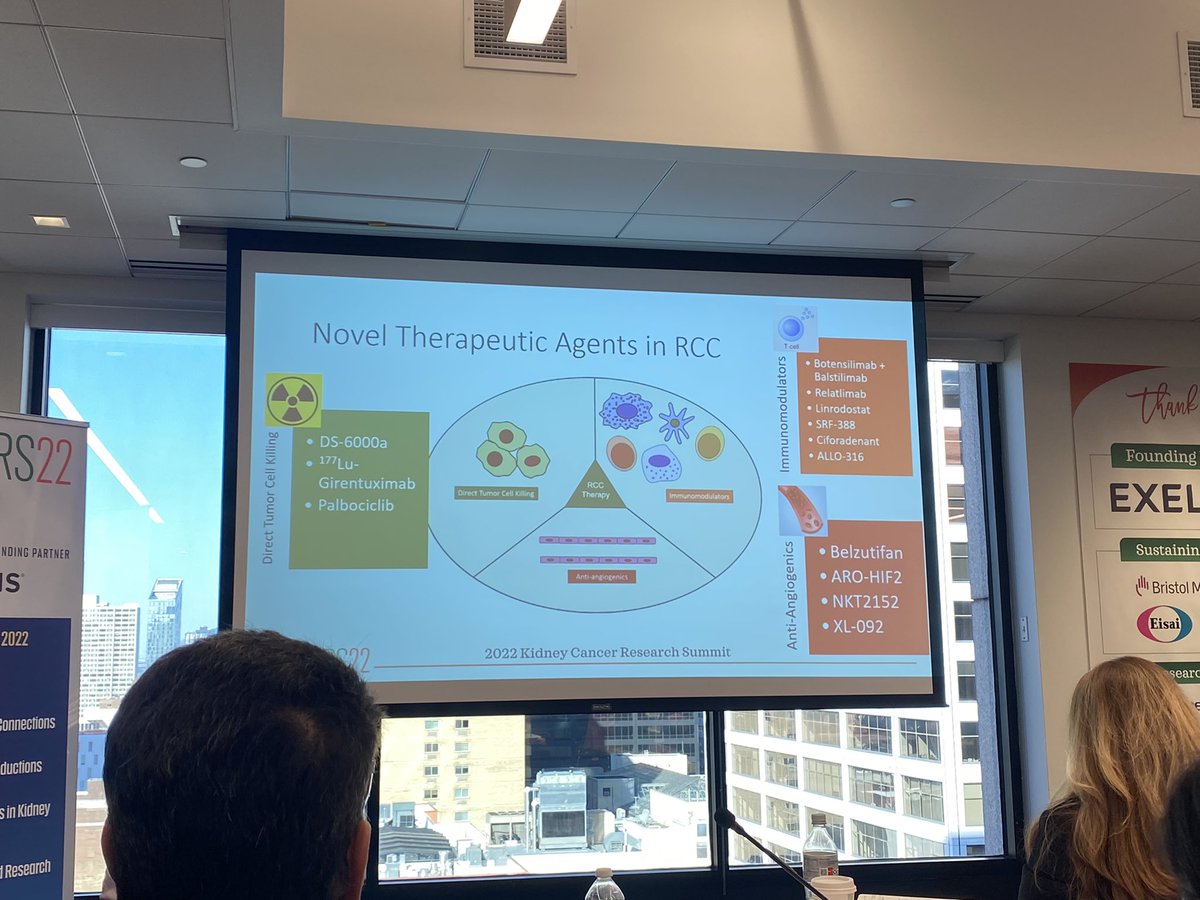 I’m pretty excited by this list of novel agents/treatment strategies in #kidneycancer presented by @DrRanaMcKay. We have never really directly targeted tumor cells in this disease. ADCs, novel targeted strategies, CAR-T, HIF inhibitors make this possible! #KCRS22 @kidneycan