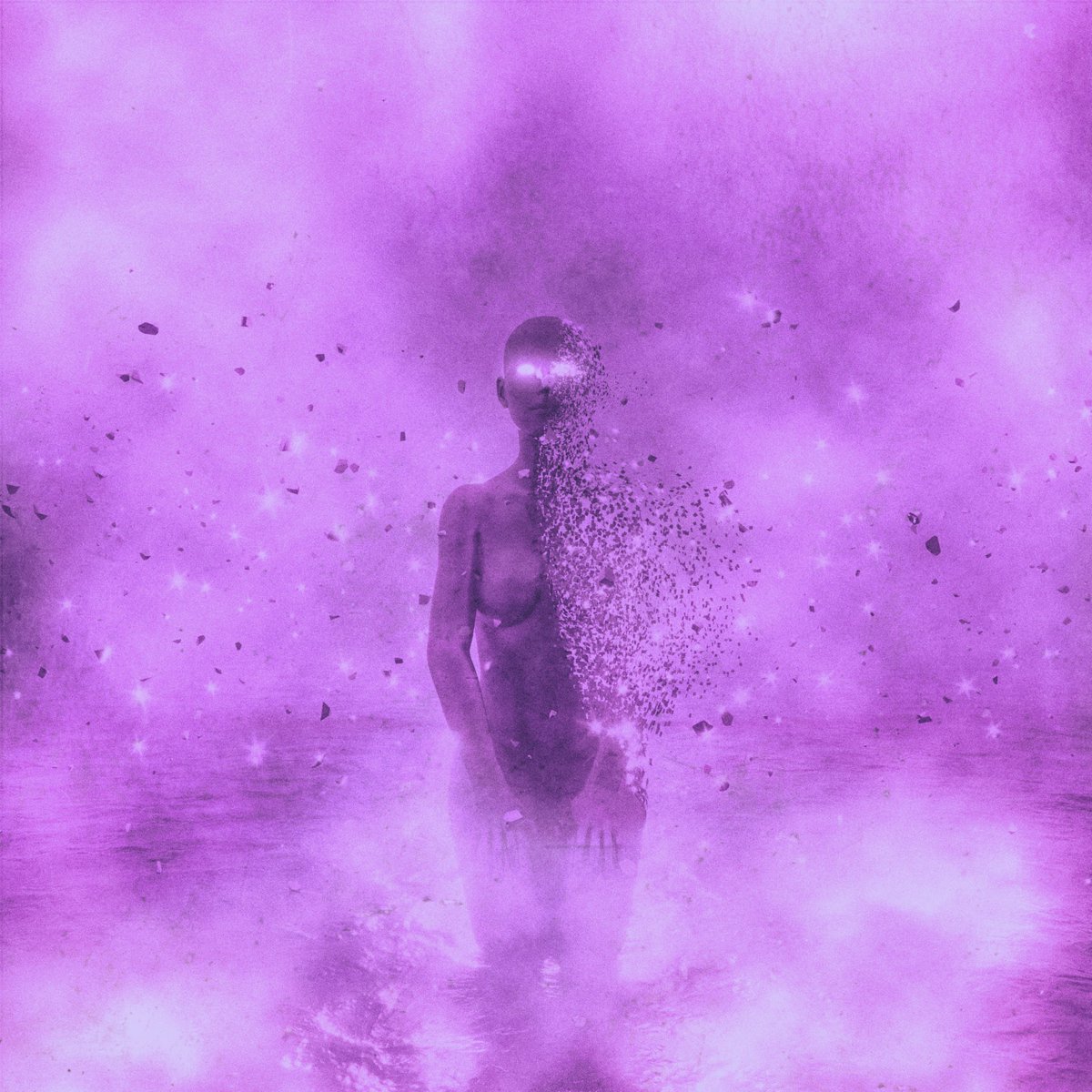 NO PROBLEMA tweet media