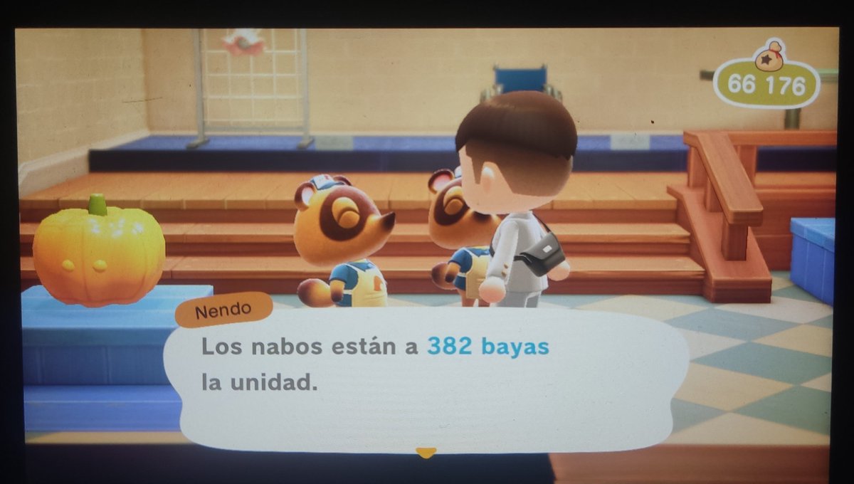 fran29del9's tweet photo. #turnips #acnh #animalcrossing #acturnips https://t.co/KGkK5YcoQU