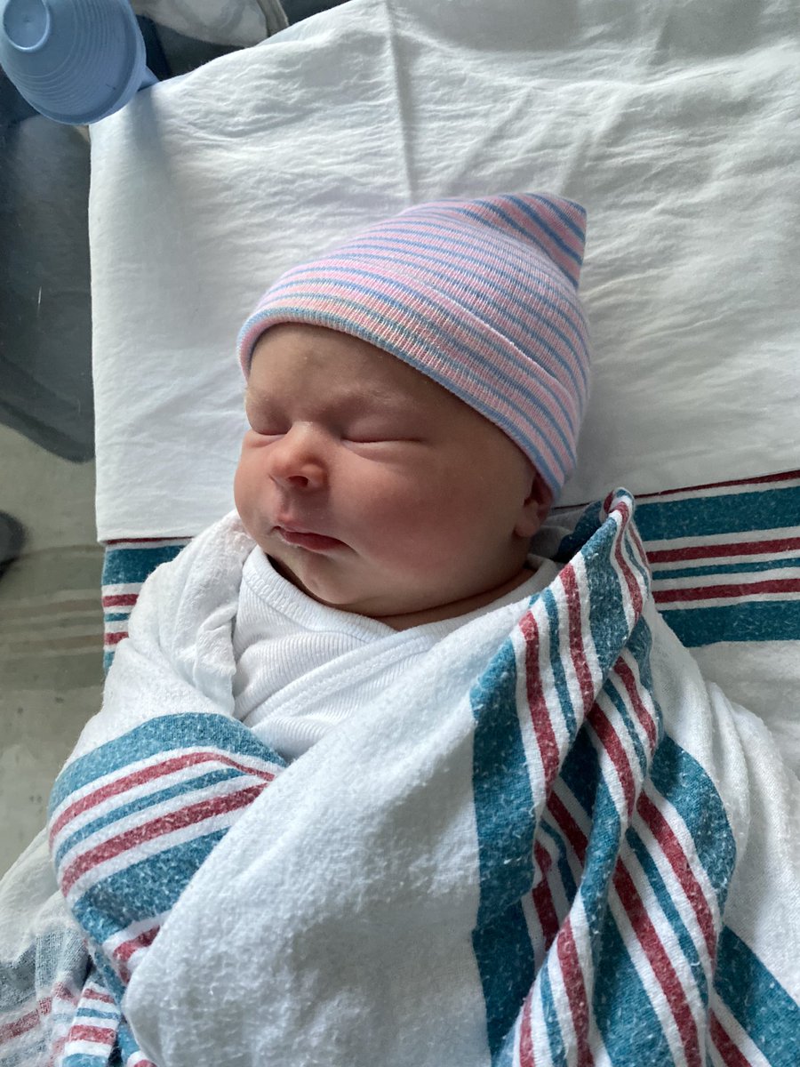 Michelle Johansen tweet media