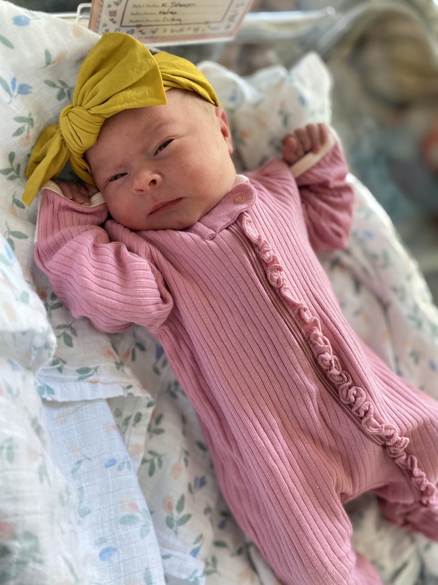 Michelle Johansen tweet media