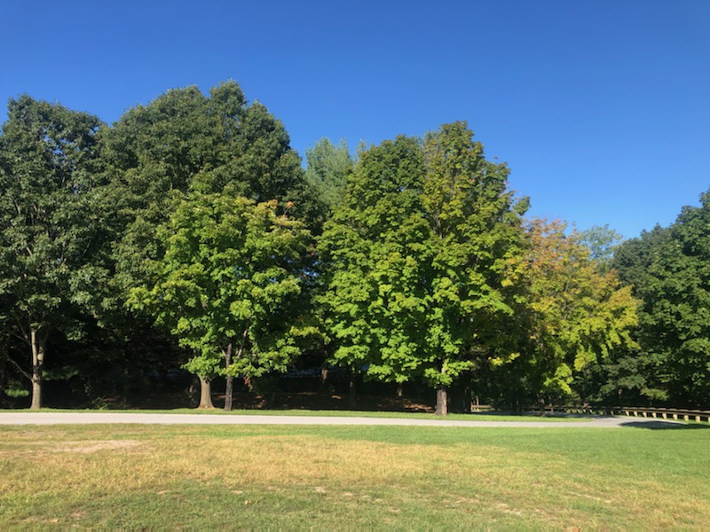 HarpersFerryNPS's tweet photo. ๐"The falling leaves drift by the window,
The autumn leaves of red and gold..."๐
We're still in the early stages of autumn, but things are changing. When do you think we'll hit peak leaf season?
#Autumn2022 #FallColors #FallInToAdventure https://t.co/00vEYd94eV