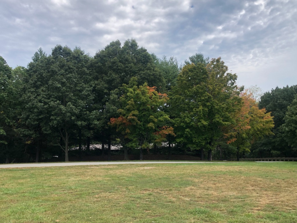 HarpersFerryNPS's tweet photo. ๐"The falling leaves drift by the window,
The autumn leaves of red and gold..."๐
We're still in the early stages of autumn, but things are changing. When do you think we'll hit peak leaf season?
#Autumn2022 #FallColors #FallInToAdventure https://t.co/00vEYd94eV