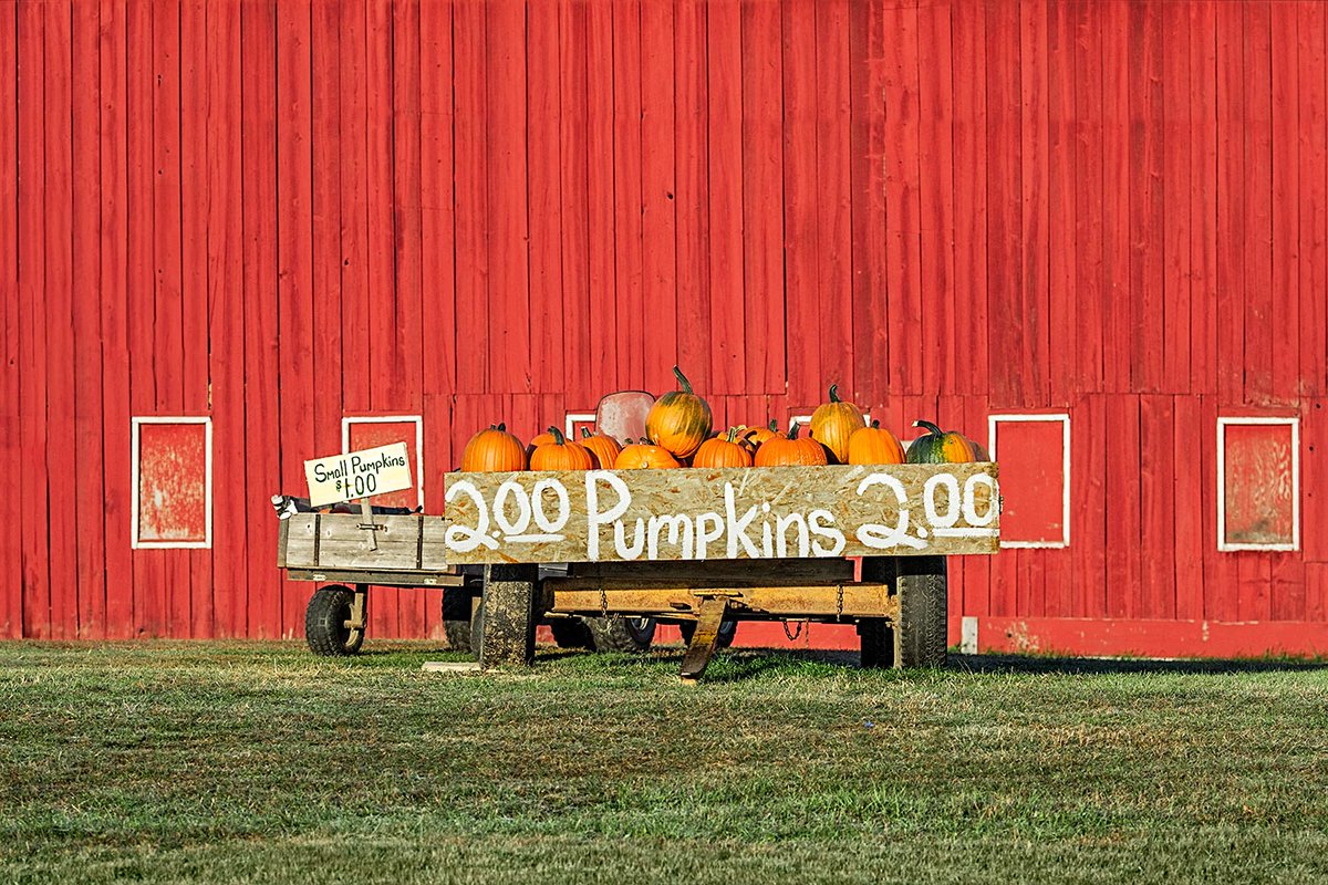 WisconsinPics's tweet photo. A pumpkin stand outside of Antigo, Wisconsin.

#wisconsin #onwisconsin #wisconsinphotos #rual #photography #stockphotos #stockphotography #commercialart https://t.co/lY2bGxI0QF