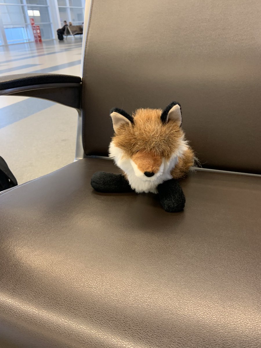 Kits next adventure is about to begin!  #kitsamazingadventures