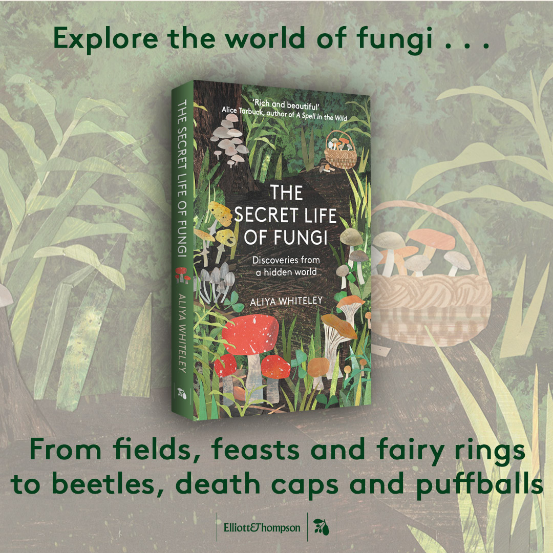 Today is #UKFungusDay! Fungi are all around us: from Dutch Elm Disease to growing orchids and making Sourdough bread. It's even been found in space! Find more #fungus facts in @AliyaWhiteley's #TheSecretLifeOfFungi: waterstones.com/book/the-secre…