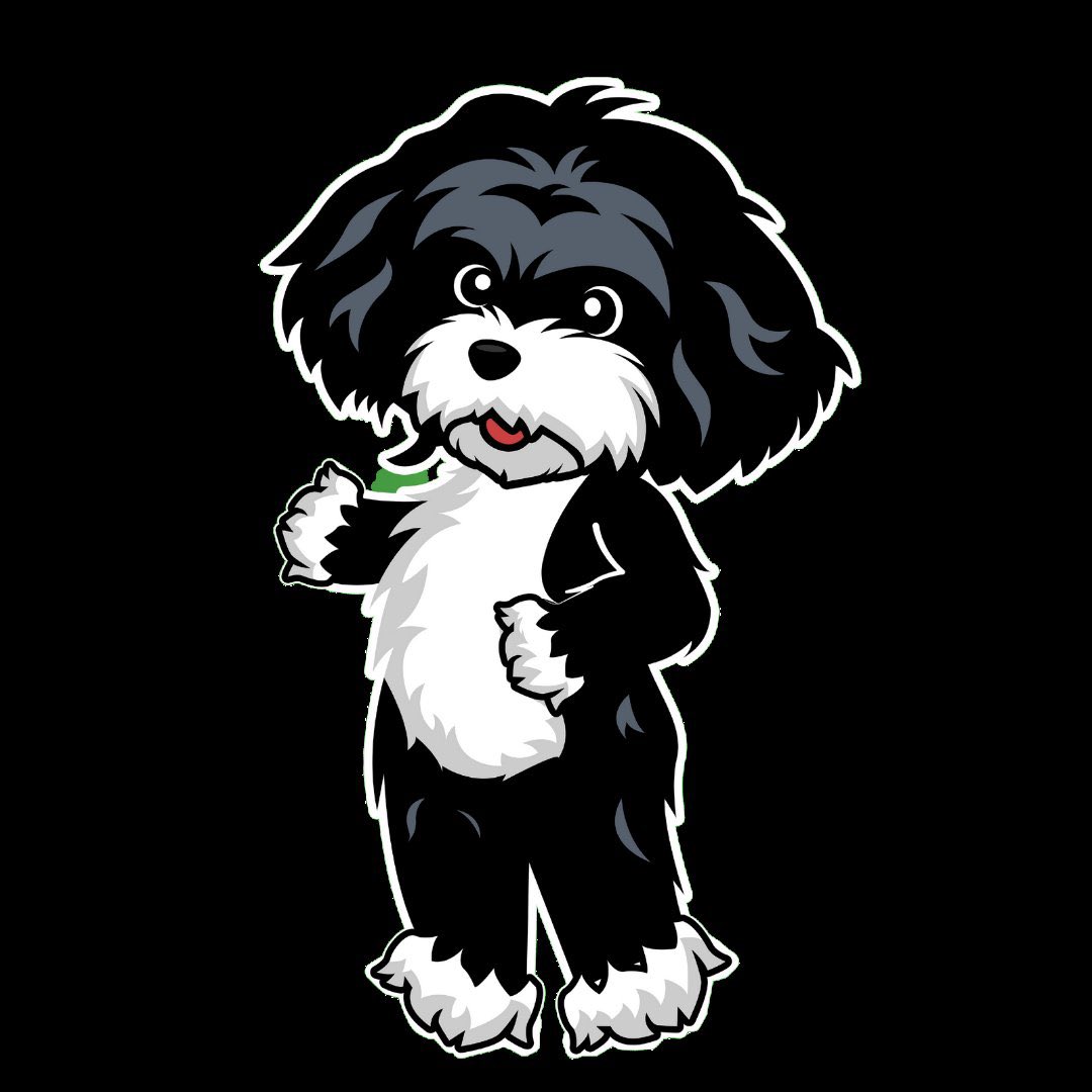 RealAccountBel1's tweet photo. @CoinMarketCap We have a cute dog havanese named $MARVIN 🐾🐾🐾

@MarvinToken #Marvin $Marvin #BNB  #ETH https://t.co/cmrZi4PNVN