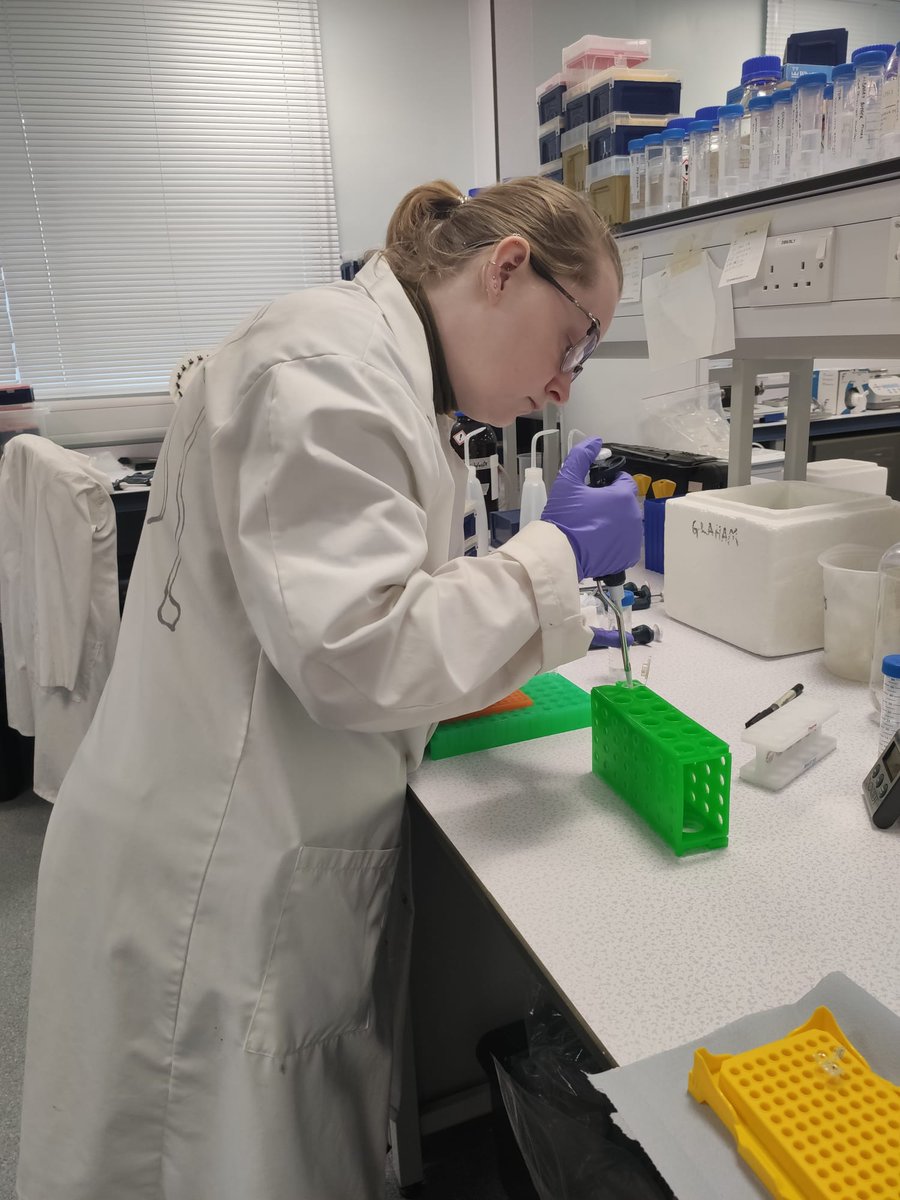 Merideth Freiheit tweet media