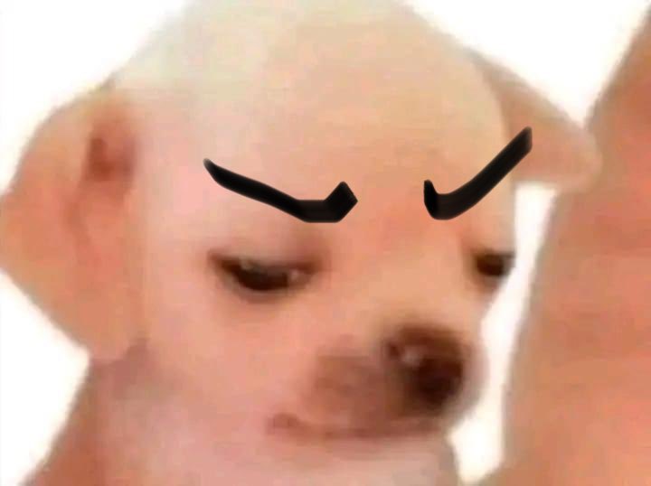 ‎₊ᚈ̵͙⑅ ˚ 𓈒 t✦라면즈 🍜 𓈒 ˚ ⑅ᚈ̵͙₊ (@teamramyeonz) on Twitter photo 