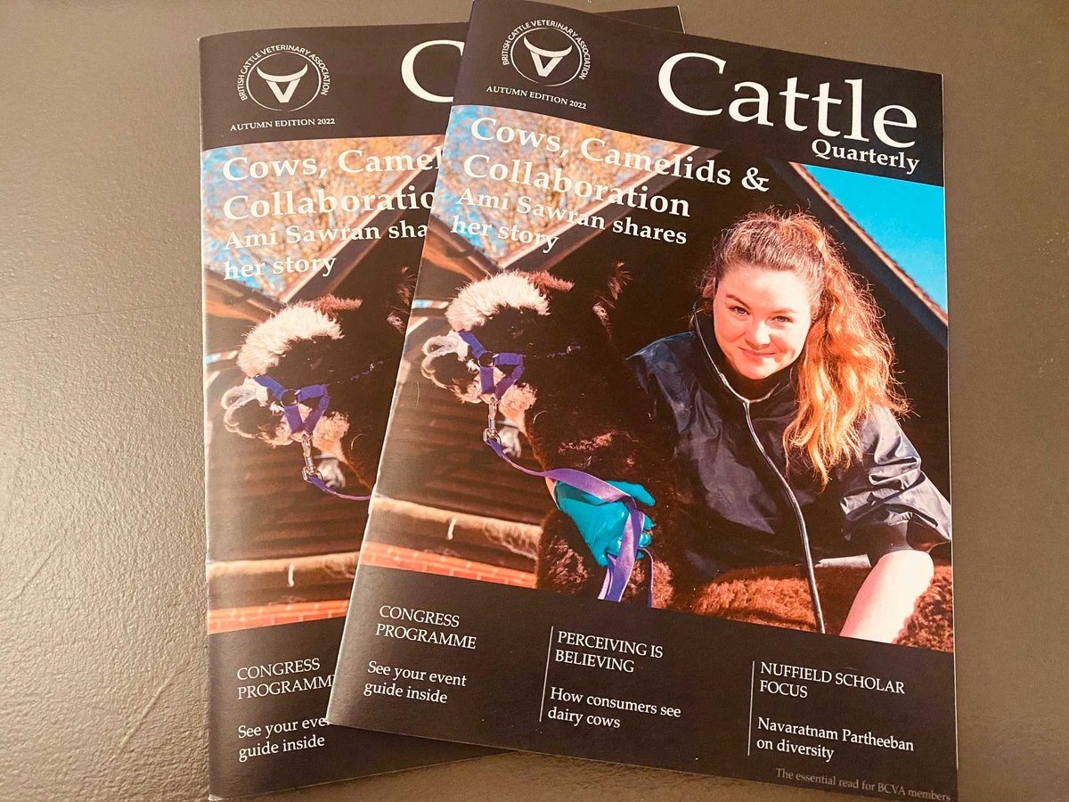 theBCVA's tweet photo. Cattle Quarterly (not Camelid Quarterly!) now out, featuring inspiring stories from Ami Sawran, Navaratnan Partheeban & Amy Jackson.
Members who choose the print version - it will be landing on your doormat any day.
@navaratnampart1@GetSet_Vet @Oxtale
#TeamFarm #WeekendRead https://t.co/Y5PxTgwaUl