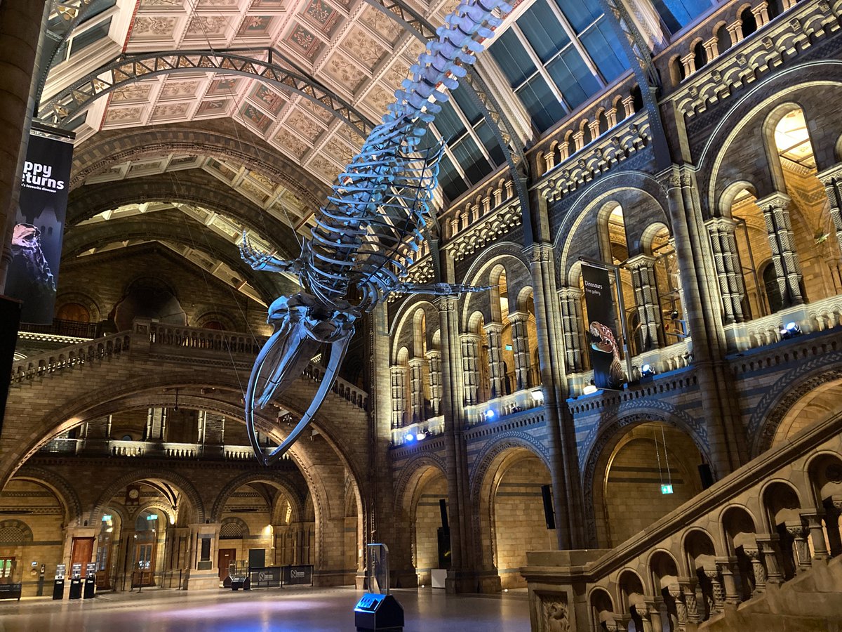 JRGconsultancy's tweet photo. We had a fantastic evening last night filming for @GalaEventsUK at @NHM_London, the stunning venue for the @SNCLavalin Awards 🏆
Looking forward to editing the highlights from a spectacular event! 🎥
#video #editing #London #GalaEvents #events https://t.co/K0ljGG78gj