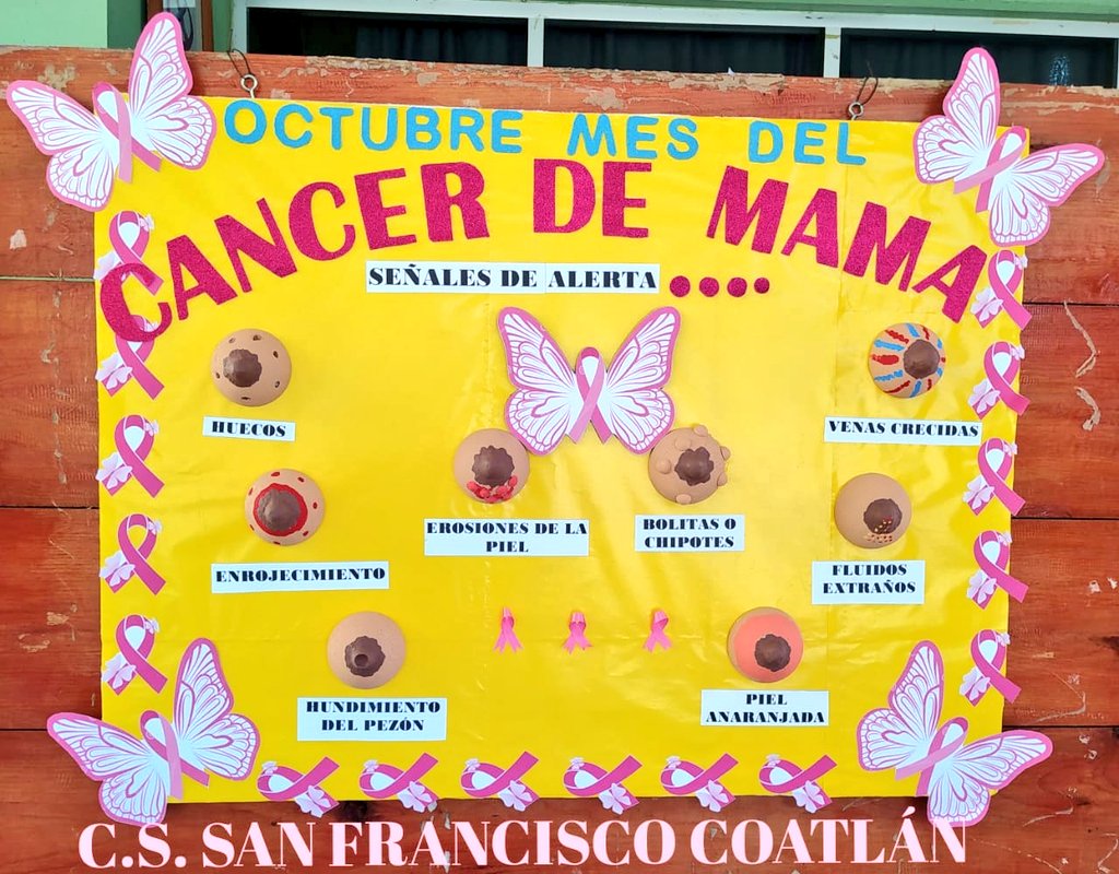 Juris01_VC's tweet photo. Las unidades médicas de la #JSVC llevan a cabo actividades de promoción y prevención del #CáncerDeMama, donde se invita a la población femenina a realizarse la autoexploración y conocer los signos de alarma de este padecimiento. https://t.co/nHgZ4GqbxA