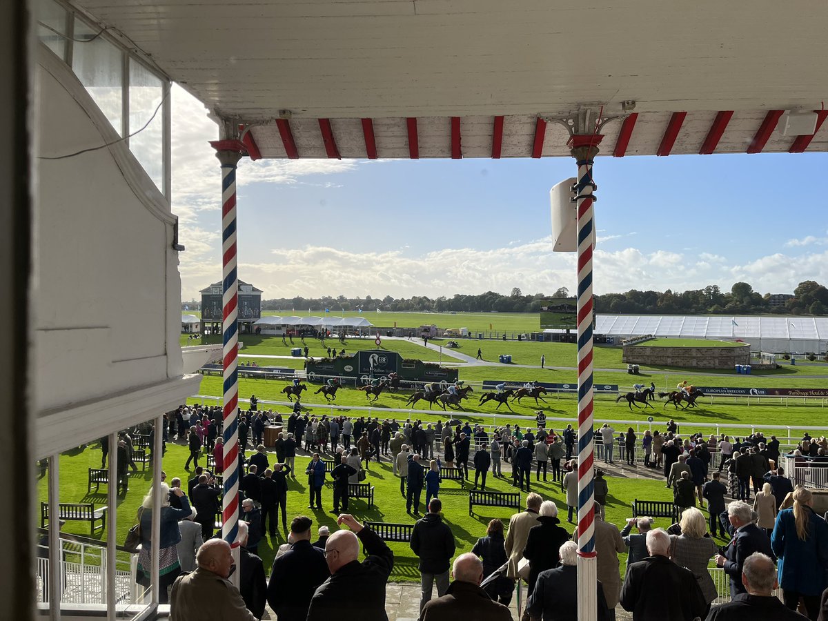 Hugopegcalf's tweet photo. Fantastic be down @yorkracecourse for the October finale. Sun is out and racing is brilliant. 🐎 ☀️ #ProperDayOut https://t.co/LWkoNKbJ9Y
