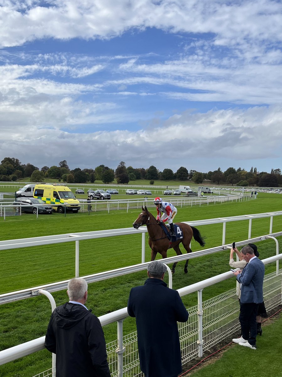 Hugopegcalf's tweet photo. Fantastic be down @yorkracecourse for the October finale. Sun is out and racing is brilliant. 🐎 ☀️ #ProperDayOut https://t.co/LWkoNKbJ9Y