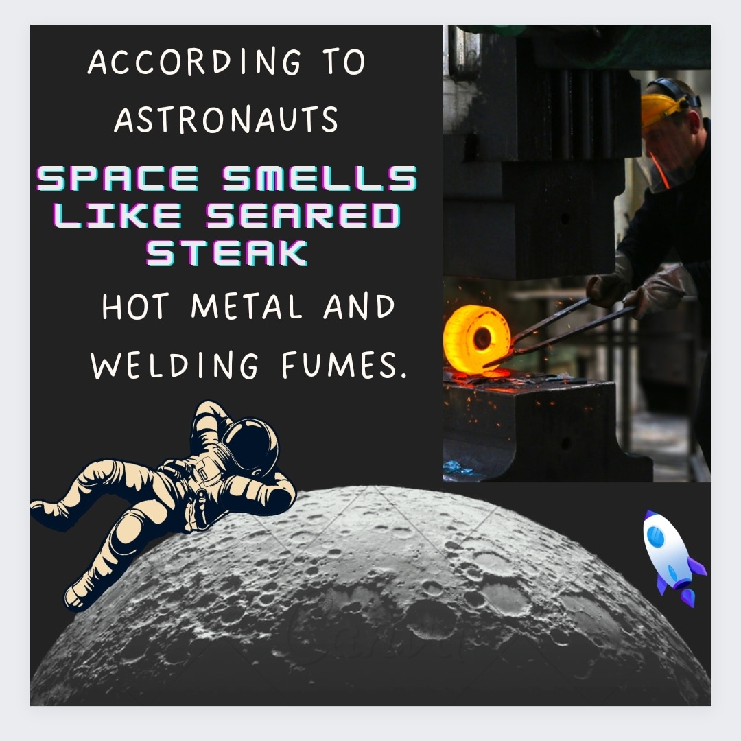 trible_nine's tweet photo. Interesting facts about space :- 🌐🚀

Did you know? 🤔

#spacefacts #space  #spacefactsdaily #spacefacts🌚 #factsonfacts #Facts #factsoflife #factsdaily #interestingfacts  #spacefactsdaily #spacefactsforyou  #worldfacts 
#astronauts #astronaut #astronautfacts #moon #rocket #jet https://t.co/dWEthJ8CtR