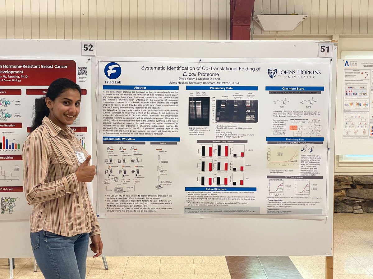 fried_lab's tweet image. Featuring @fried_lab&apos;s Divya yadav at Gibbs36, her first conference in the USA!  Divya gave a poster introducing two new projects that we&apos;re excited about on co-translational folding. #FriedLabNews